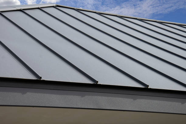 Best Sheet Metal Roofing  in Dianapolis, IN